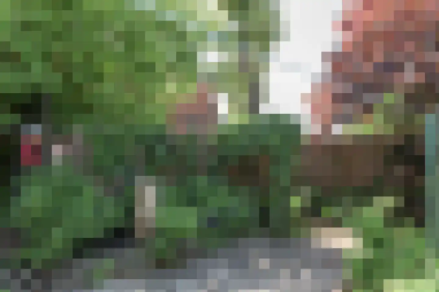 Groningerstraat 90 Surhuisterveen thumbnail 9