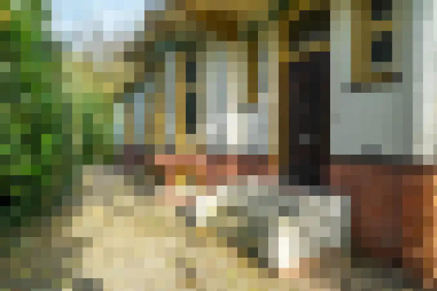Groningerstraatweg 23 Grijpskerk thumbnail 14