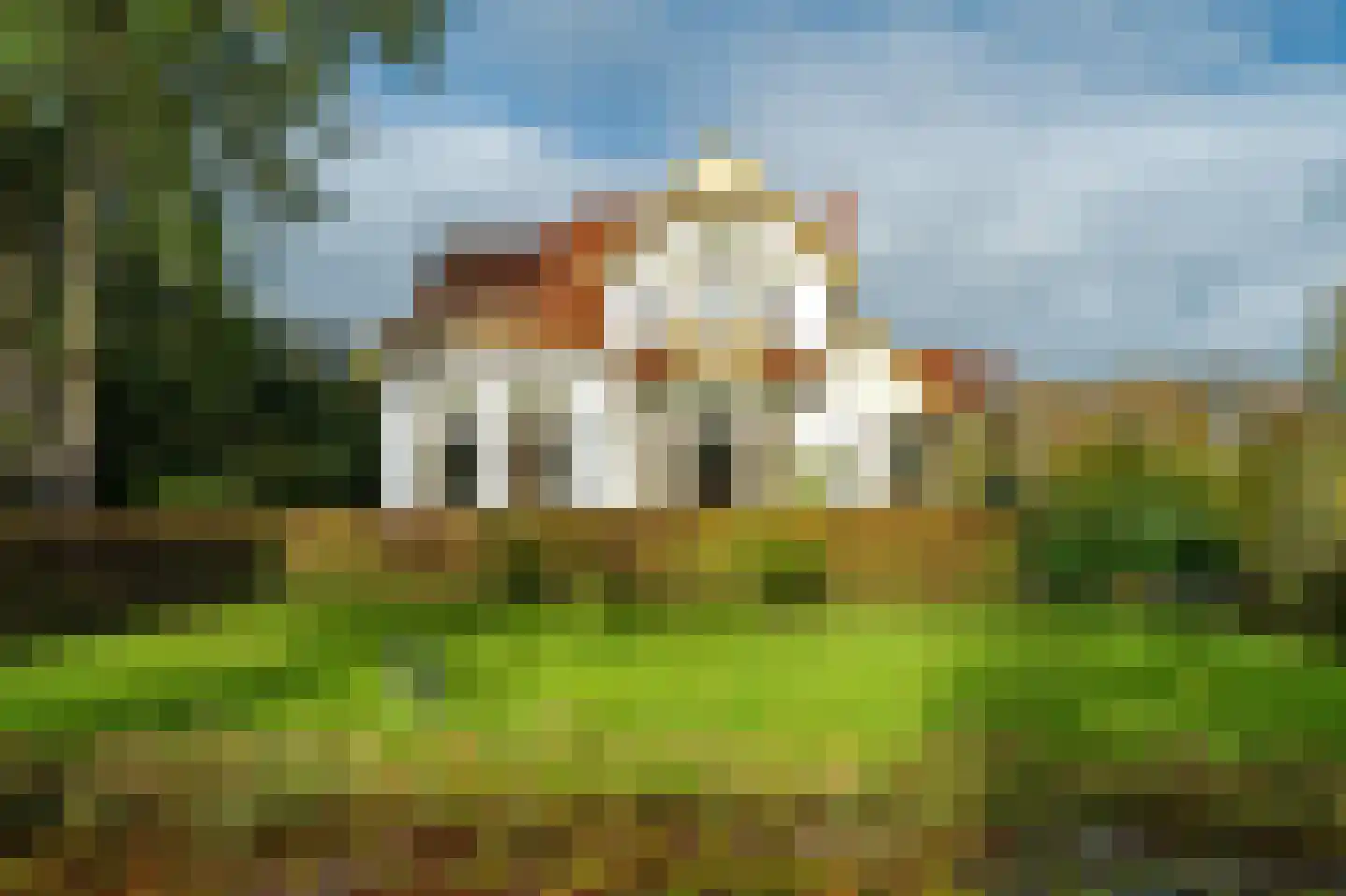Groningerstraatweg 23 Grijpskerk thumbnail 8