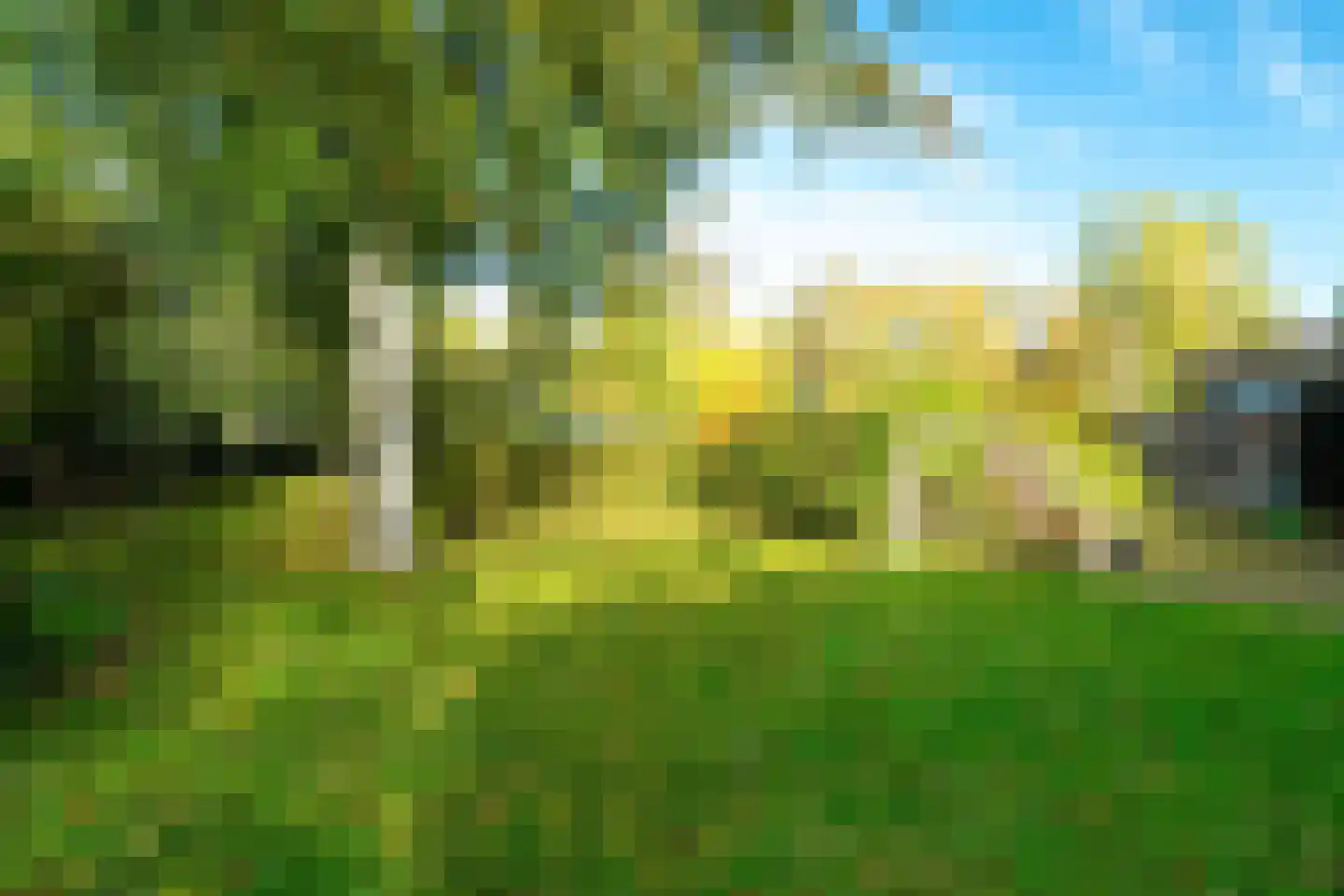 Groningerstraatweg 23 Grijpskerk thumbnail 81