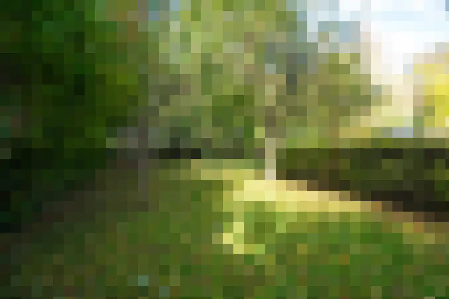 Groningerstraatweg 23 Grijpskerk thumbnail 82