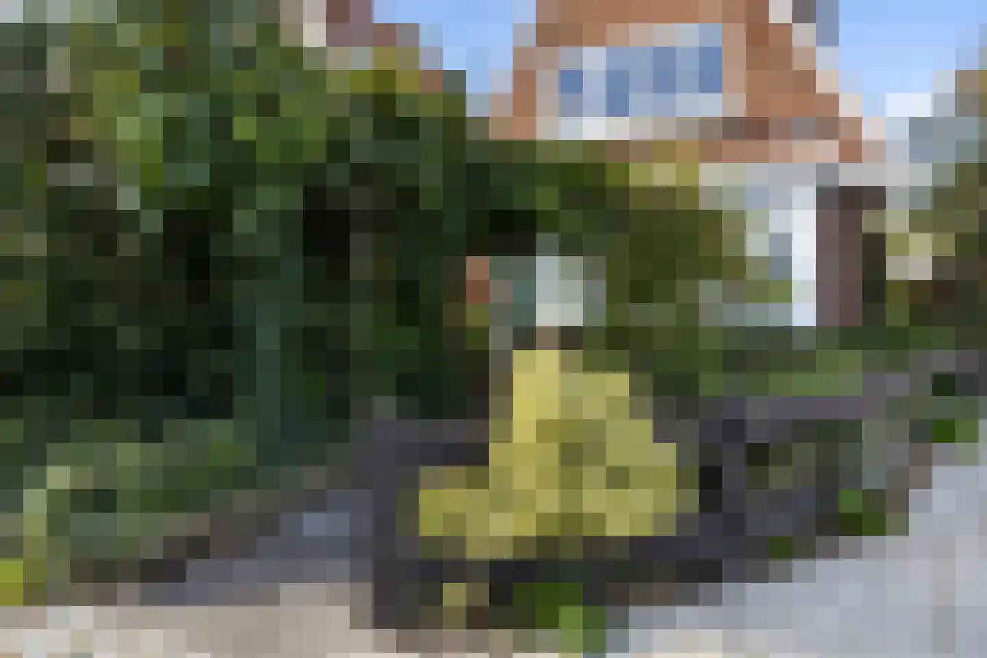 Groningerstraatweg 237 Leeuwarden thumbnail 10
