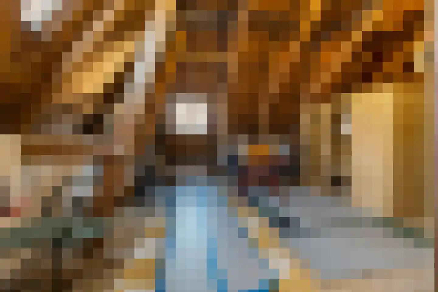 Groningerstraatweg 31 Grijpskerk thumbnail 36