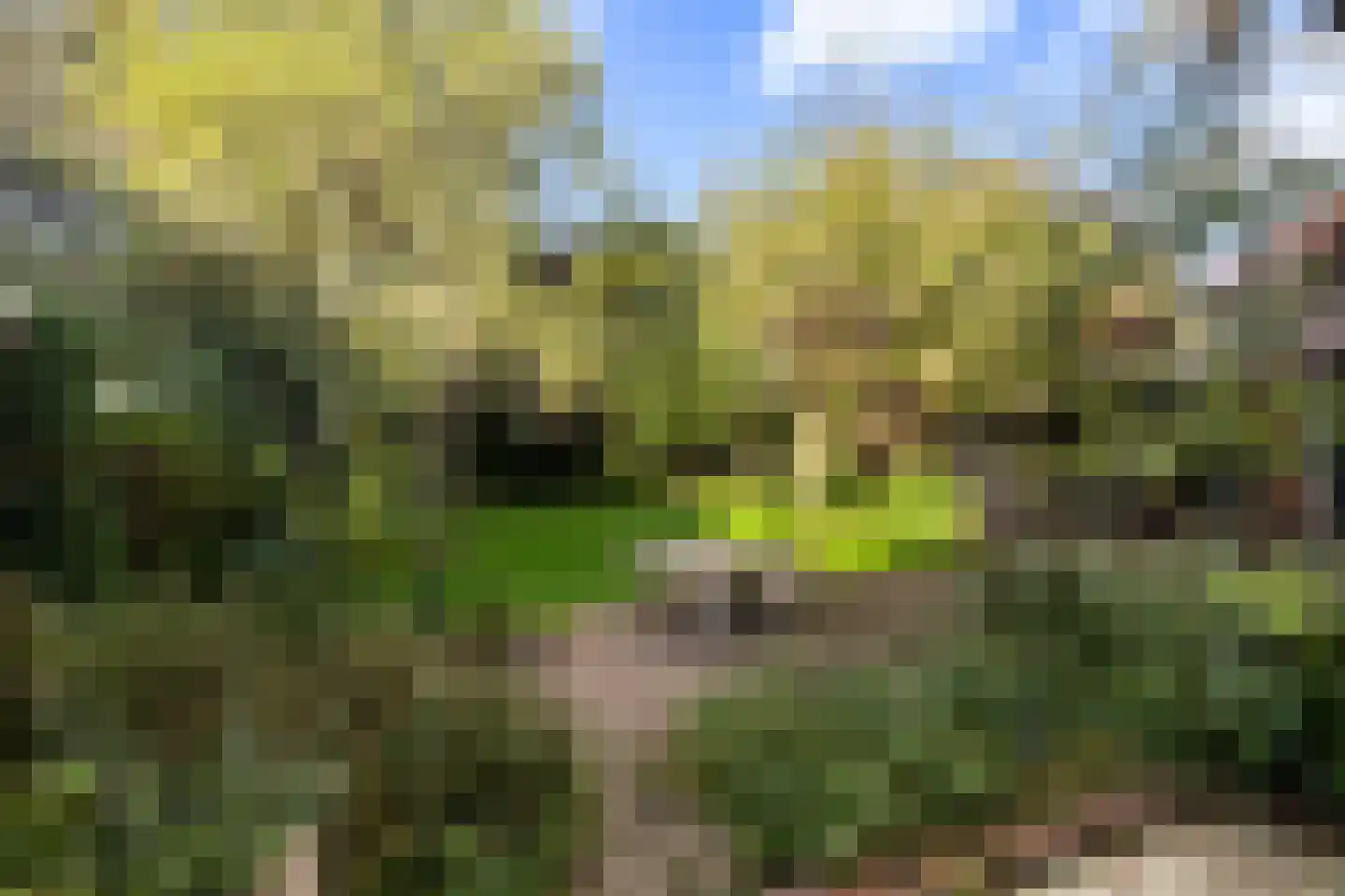 Groningerstraatweg 31 Grijpskerk thumbnail 47