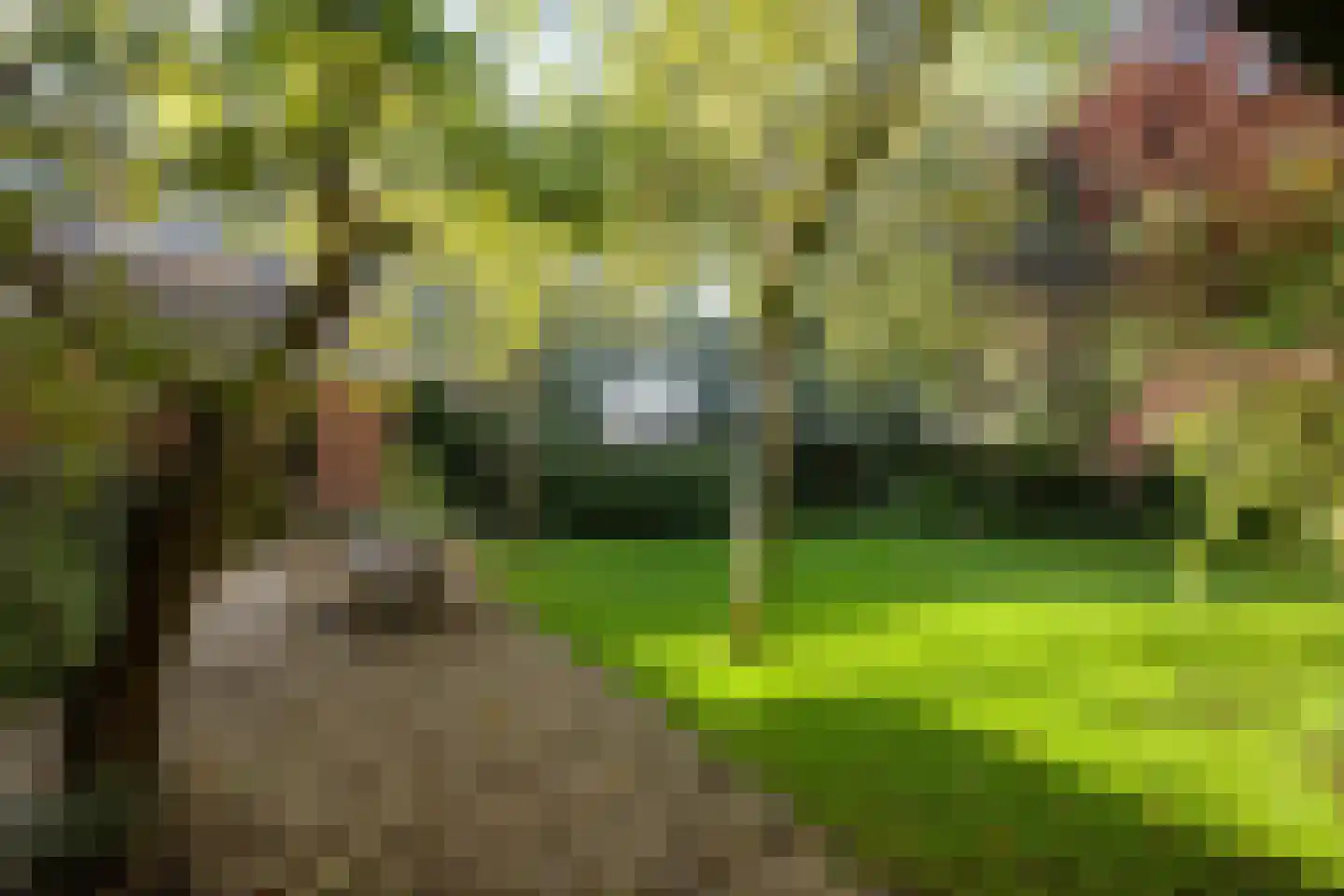 Groningerstraatweg 31 Grijpskerk thumbnail 48