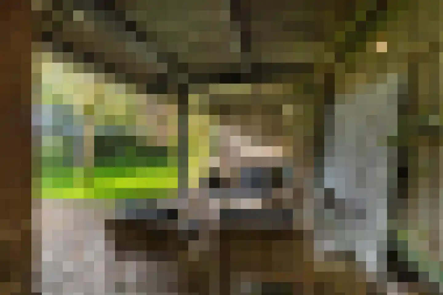 Groningerstraatweg 31 Grijpskerk thumbnail 50