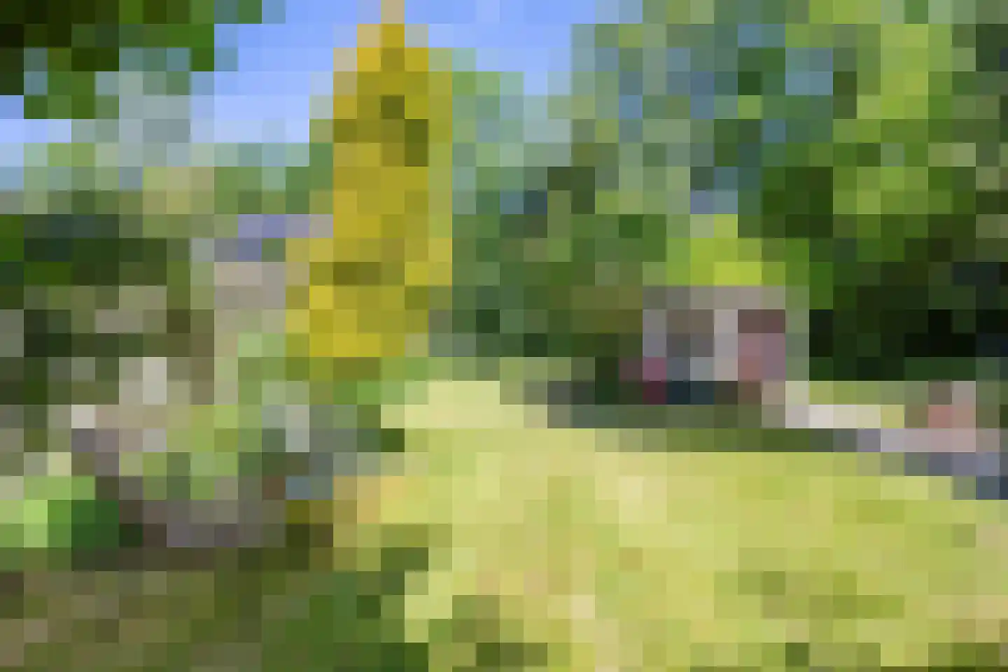 Groningerstraatweg 7 Grijpskerk thumbnail 4