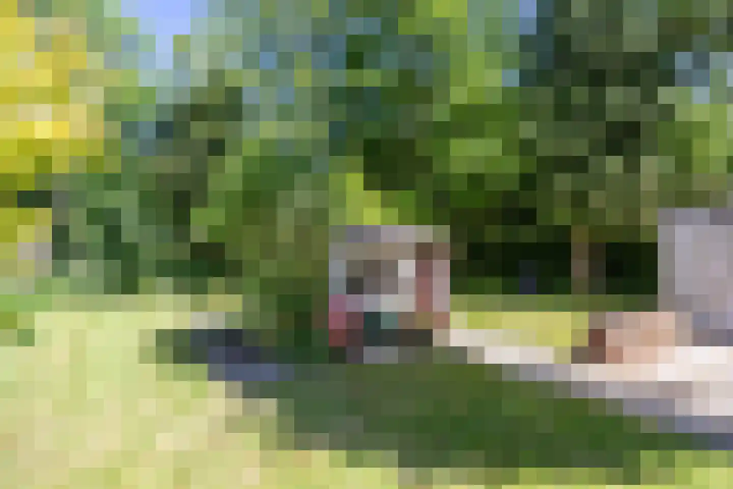 Groningerstraatweg 7 Grijpskerk thumbnail 43
