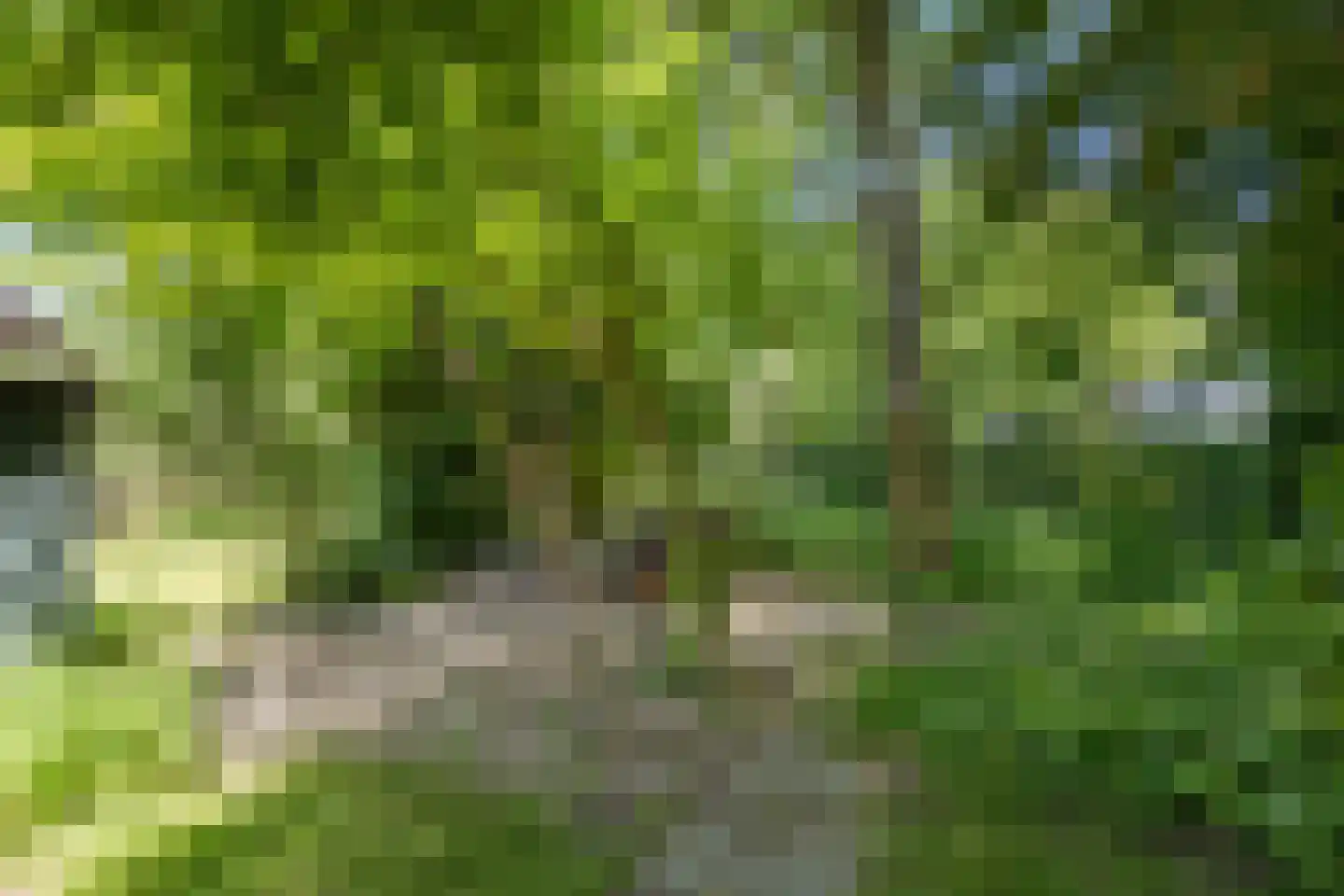 Groningerstraatweg 7 Grijpskerk thumbnail 45