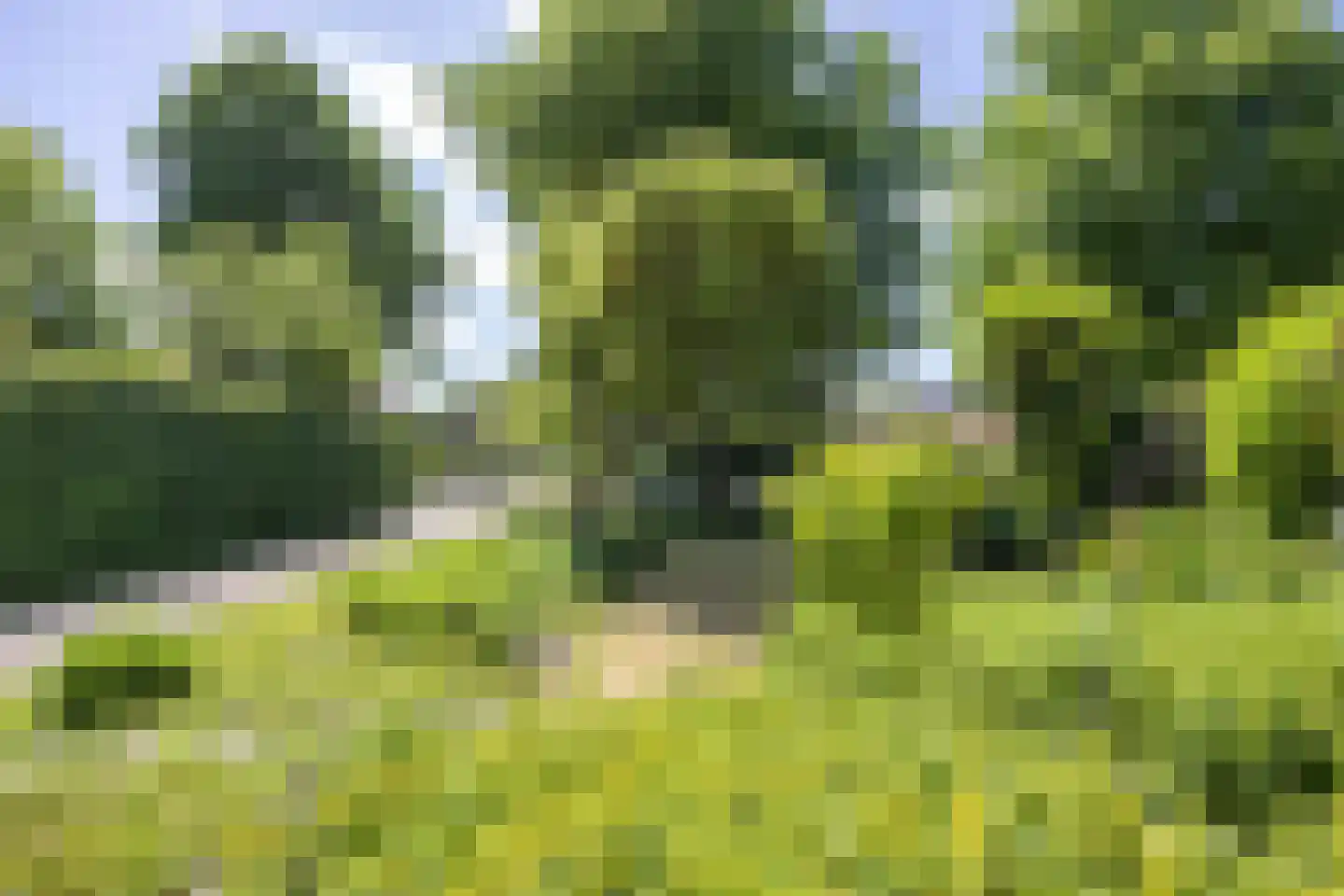 Groningerstraatweg 7 Grijpskerk thumbnail 7