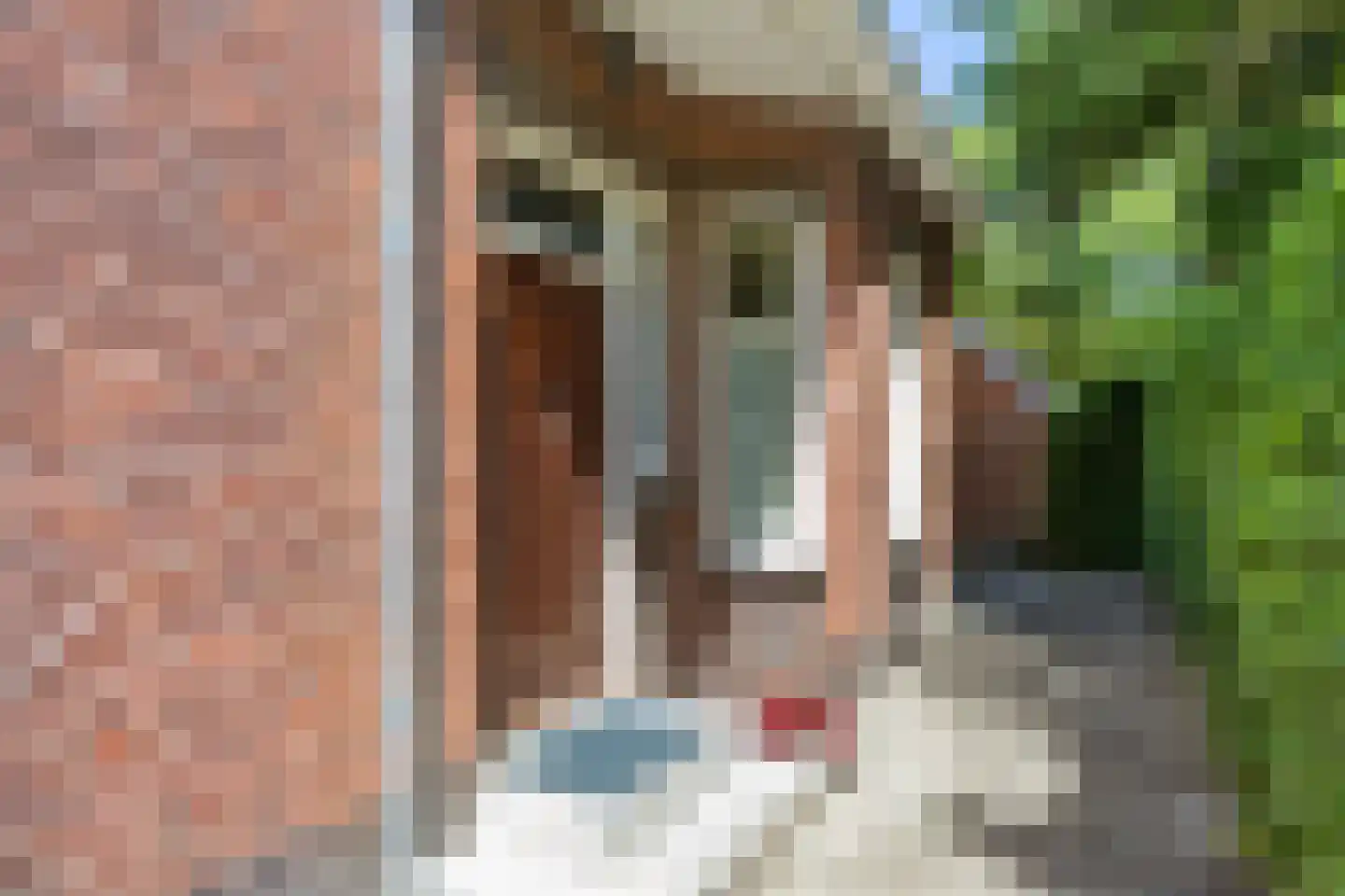 Groningerstraatweg 7 Grijpskerk thumbnail 8