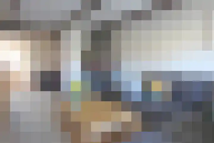 Groningerstreek 9 Stroobos thumbnail 12