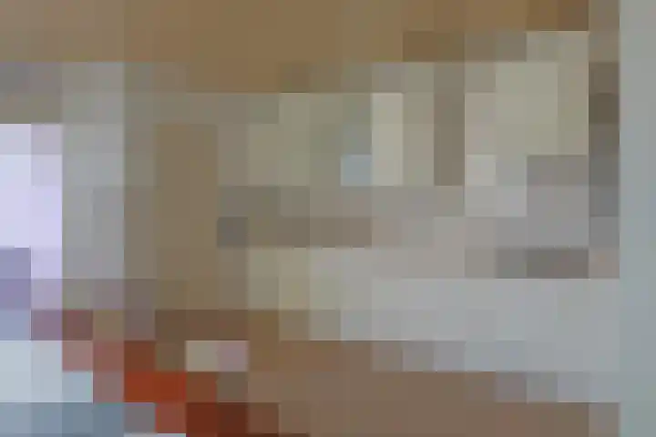 Groningerstreek 9 Stroobos thumbnail 20