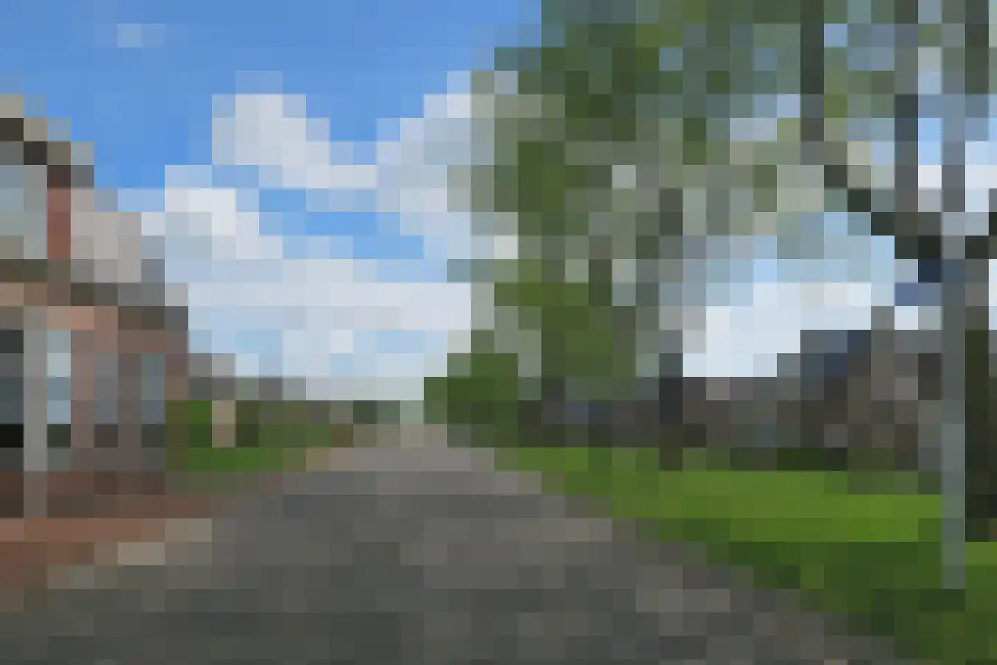 Groningerstreek 9 Stroobos thumbnail 4