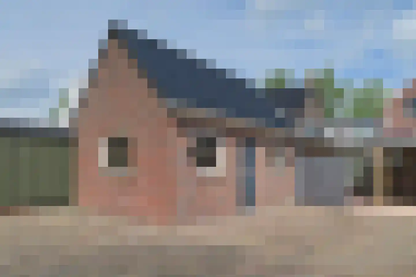 Groningerstreek 9 Stroobos thumbnail 44