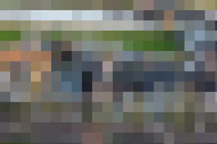 Groningerstreek 9 Stroobos thumbnail 52