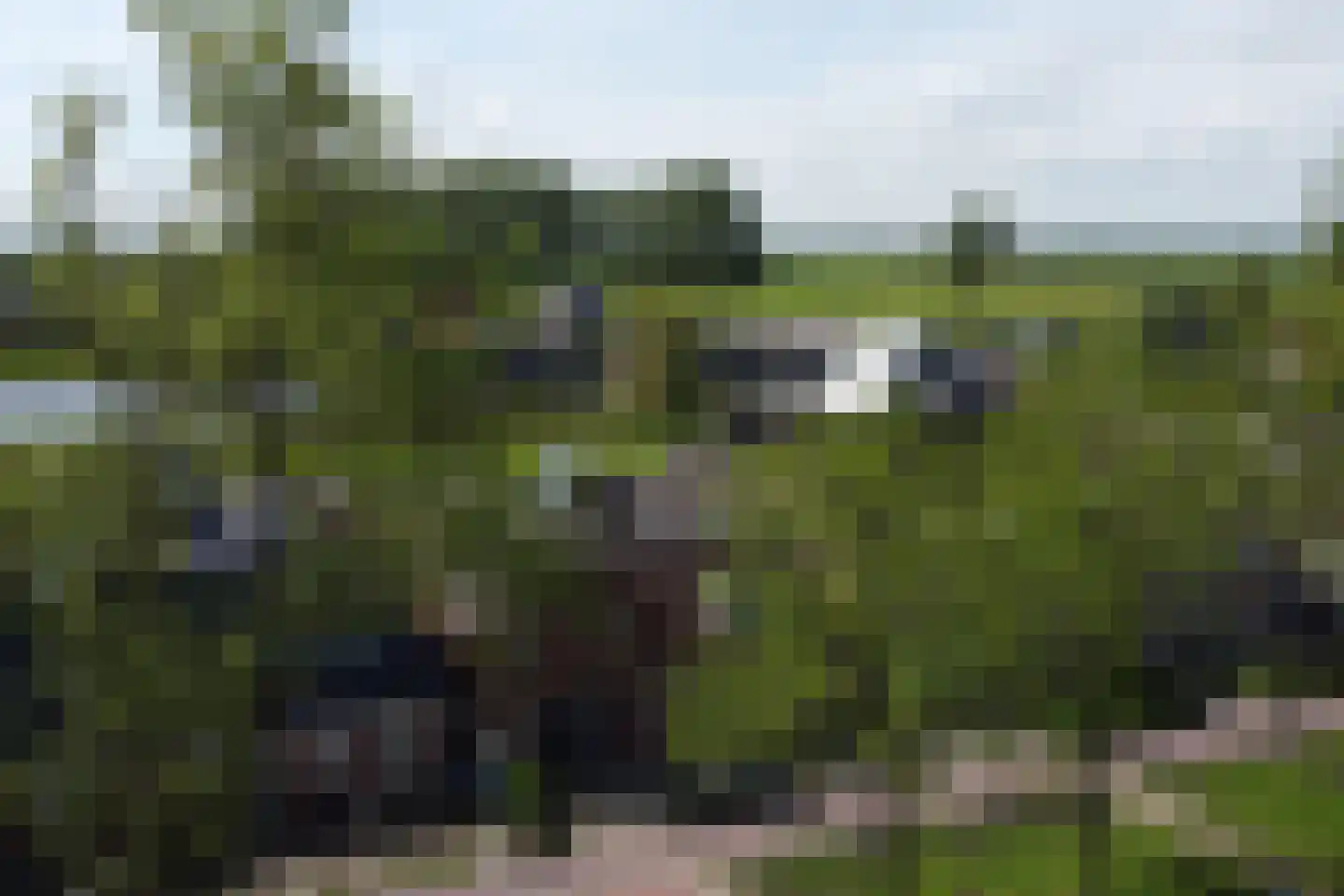 Groningerstreek 9 Stroobos thumbnail 54