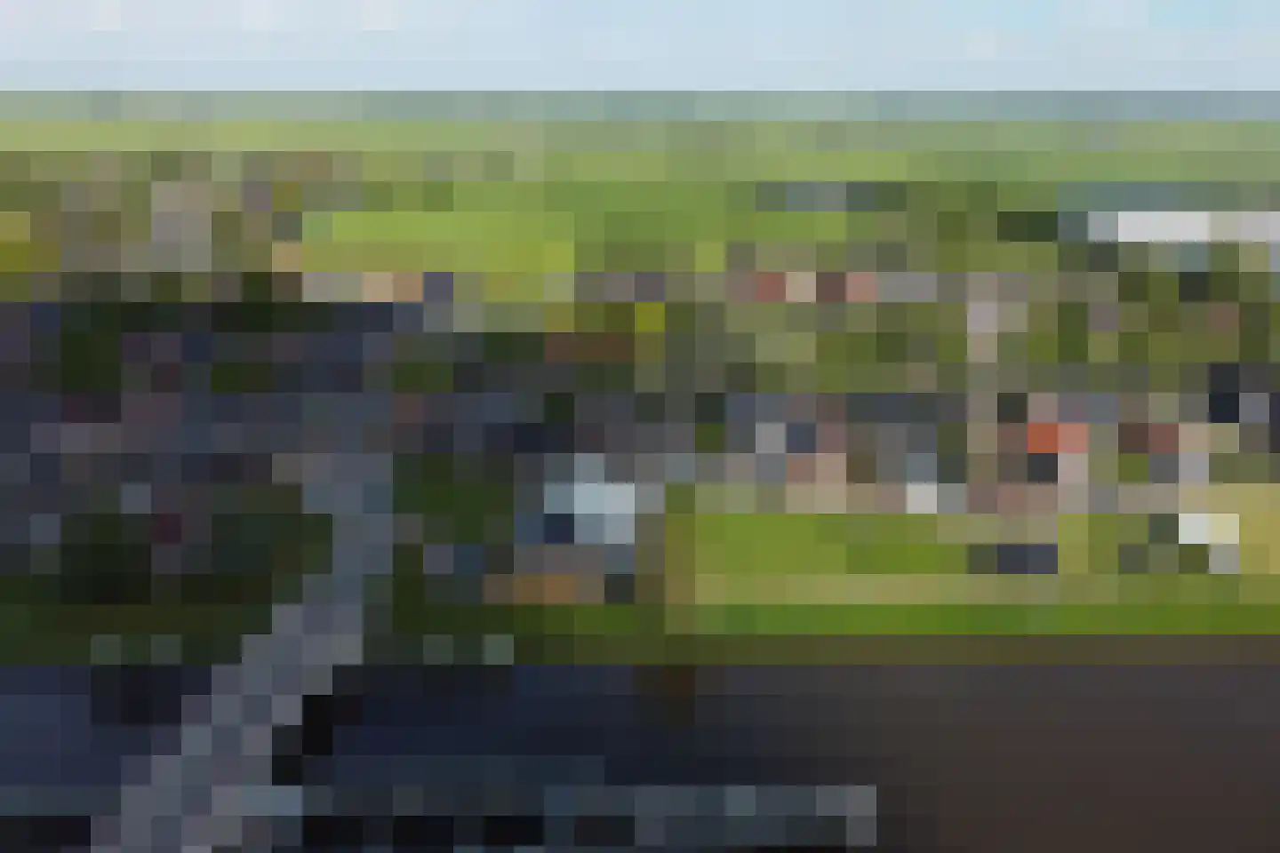 Groningerstreek 9 Stroobos thumbnail 55