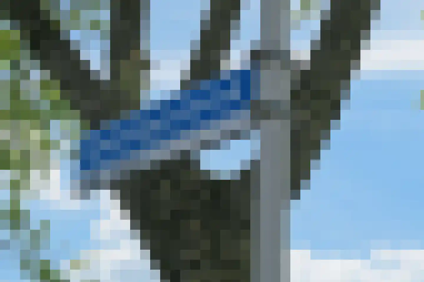 Groningerstreek 9 Stroobos thumbnail 6