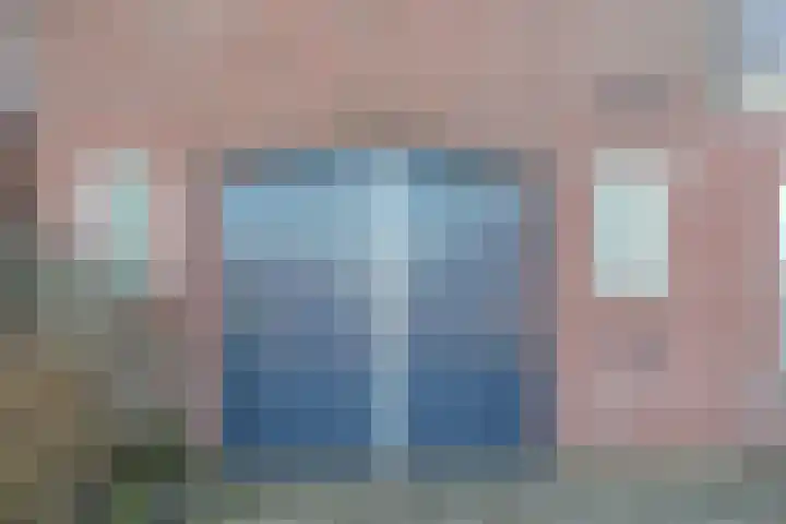 Groningerstreek 9 Stroobos thumbnail 6
