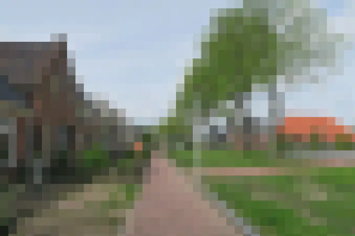 Groningerstreek 9 Stroobos thumbnail 7