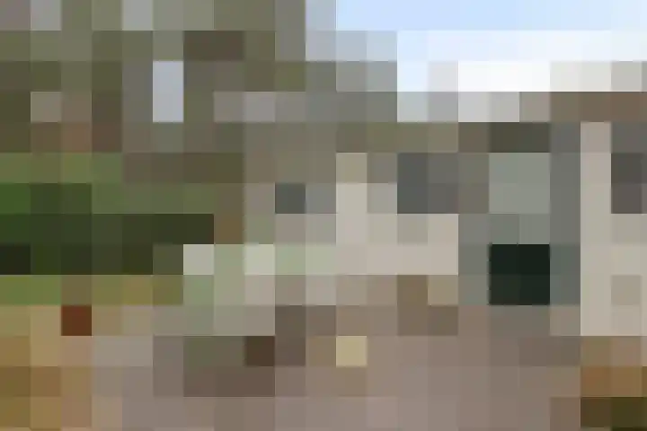 Groningerweg 13 n247 Diever thumbnail 20