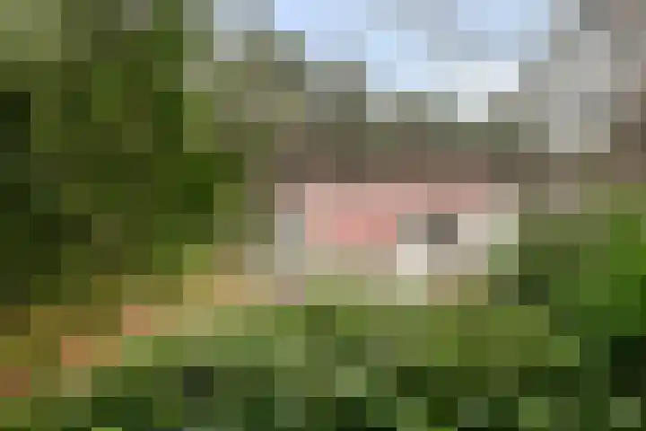 Groningerweg 13 n247 Diever thumbnail 21