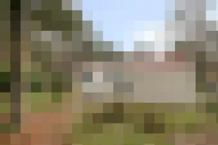 Groningerweg 13 n247 Diever thumbnail 22