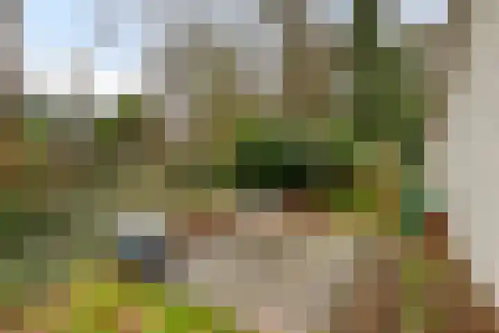 Groningerweg 13 n247 Diever thumbnail 24