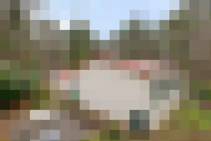 Groningerweg 13 n247 Diever thumbnail 26