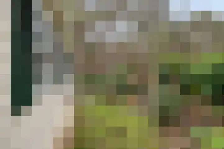 Groningerweg 13 n247 Diever thumbnail 27