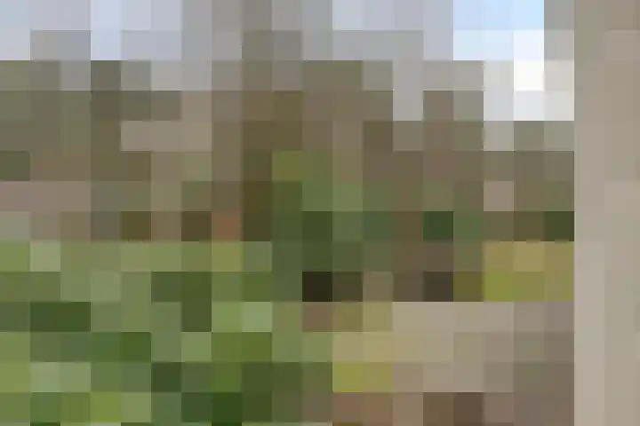 Groningerweg 13 n247 Diever thumbnail 28