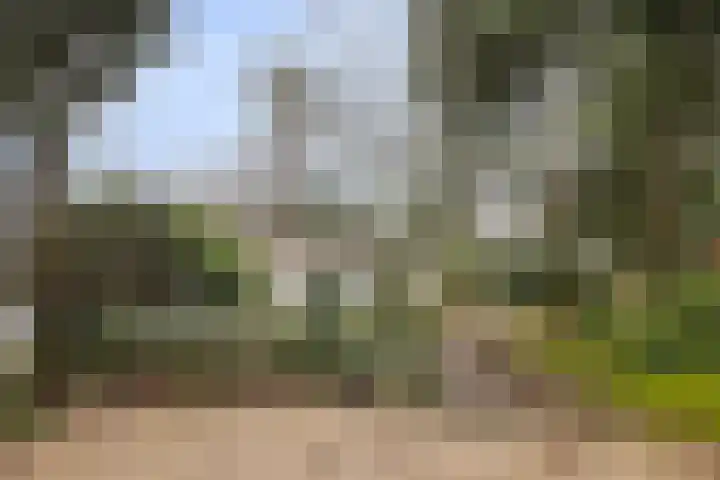 Groningerweg 13 n247 Diever thumbnail 29