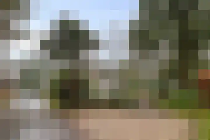 Groningerweg 13 n247 Diever thumbnail 30