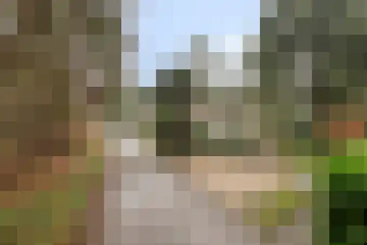 Groningerweg 13 n247 Diever thumbnail 31