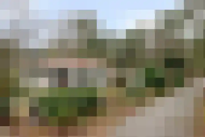 Groningerweg 13 n247 Diever thumbnail 32