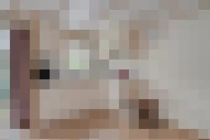 Groningerweg 13 n247 Diever thumbnail 5
