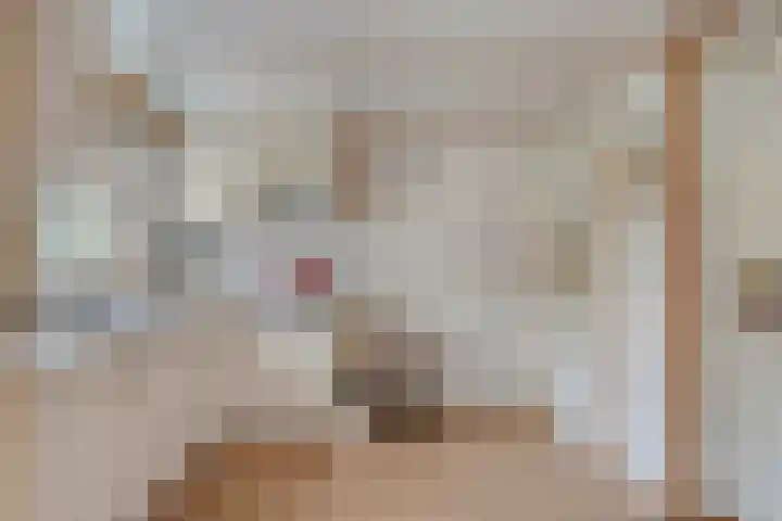 Groningerweg 13 n247 Diever thumbnail 6
