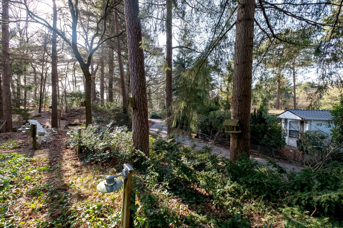 Groningerweg 13 n267 Diever thumbnail 28