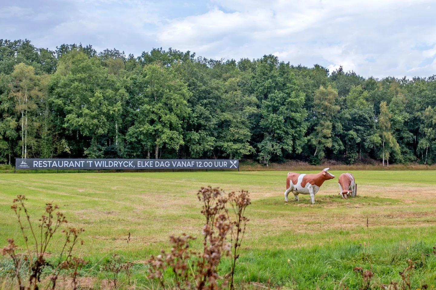 Groningerweg 13 n558 Diever thumbnail 30