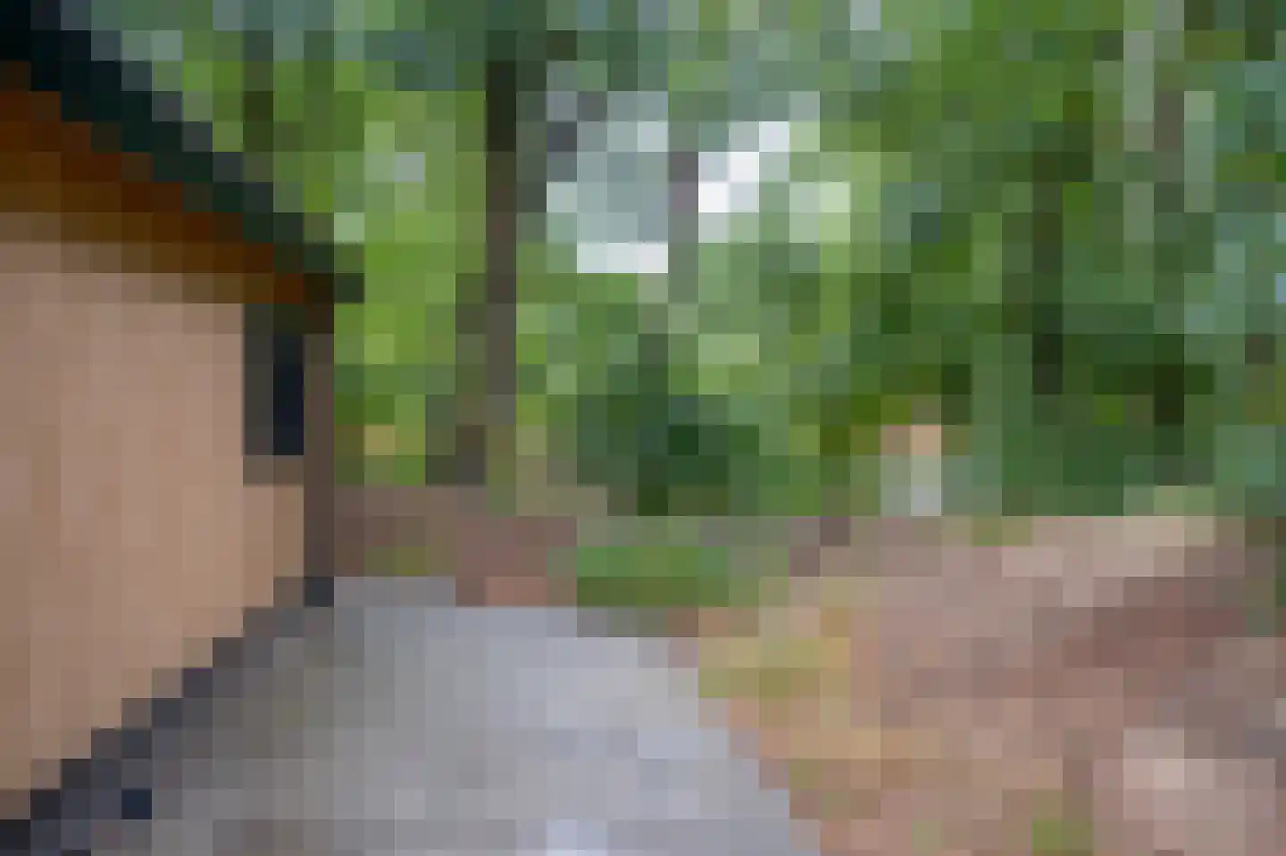Groningerweg 13 n558 Diever thumbnail 32