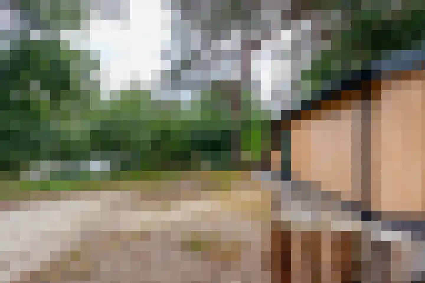 Groningerweg 13 n558 Diever thumbnail 34