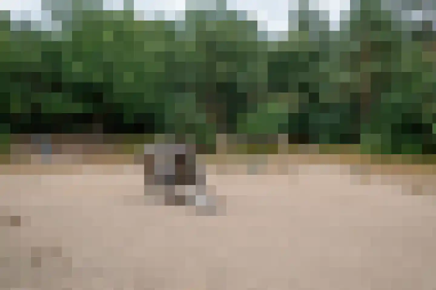 Groningerweg 13 n558 Diever thumbnail 37