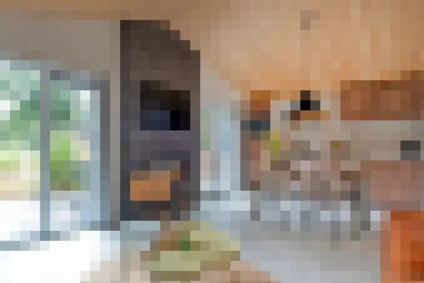 Groningerweg 13 n558 Diever thumbnail 4
