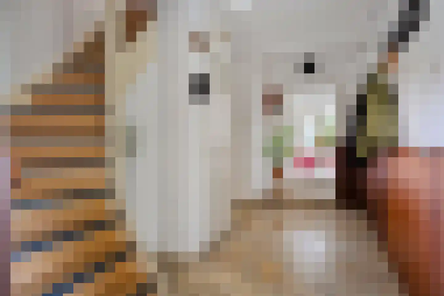 Groningerweg 14 Paterswolde thumbnail 12
