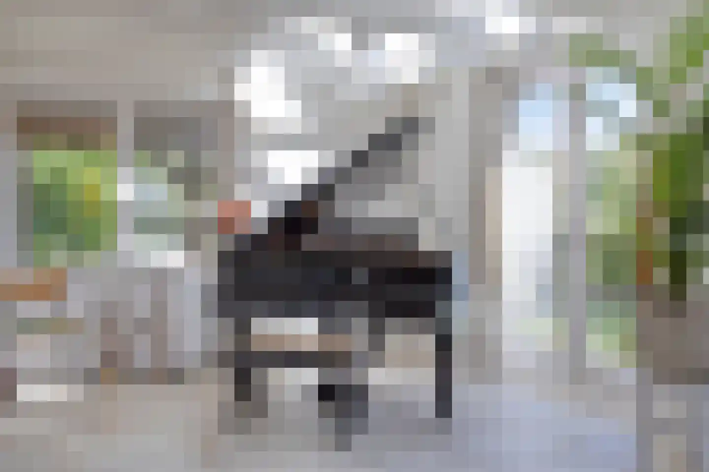 Groningerweg 14 Paterswolde thumbnail 17