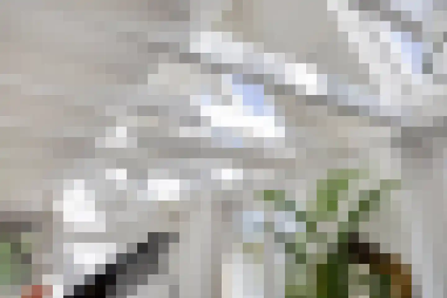 Groningerweg 14 Paterswolde thumbnail 18