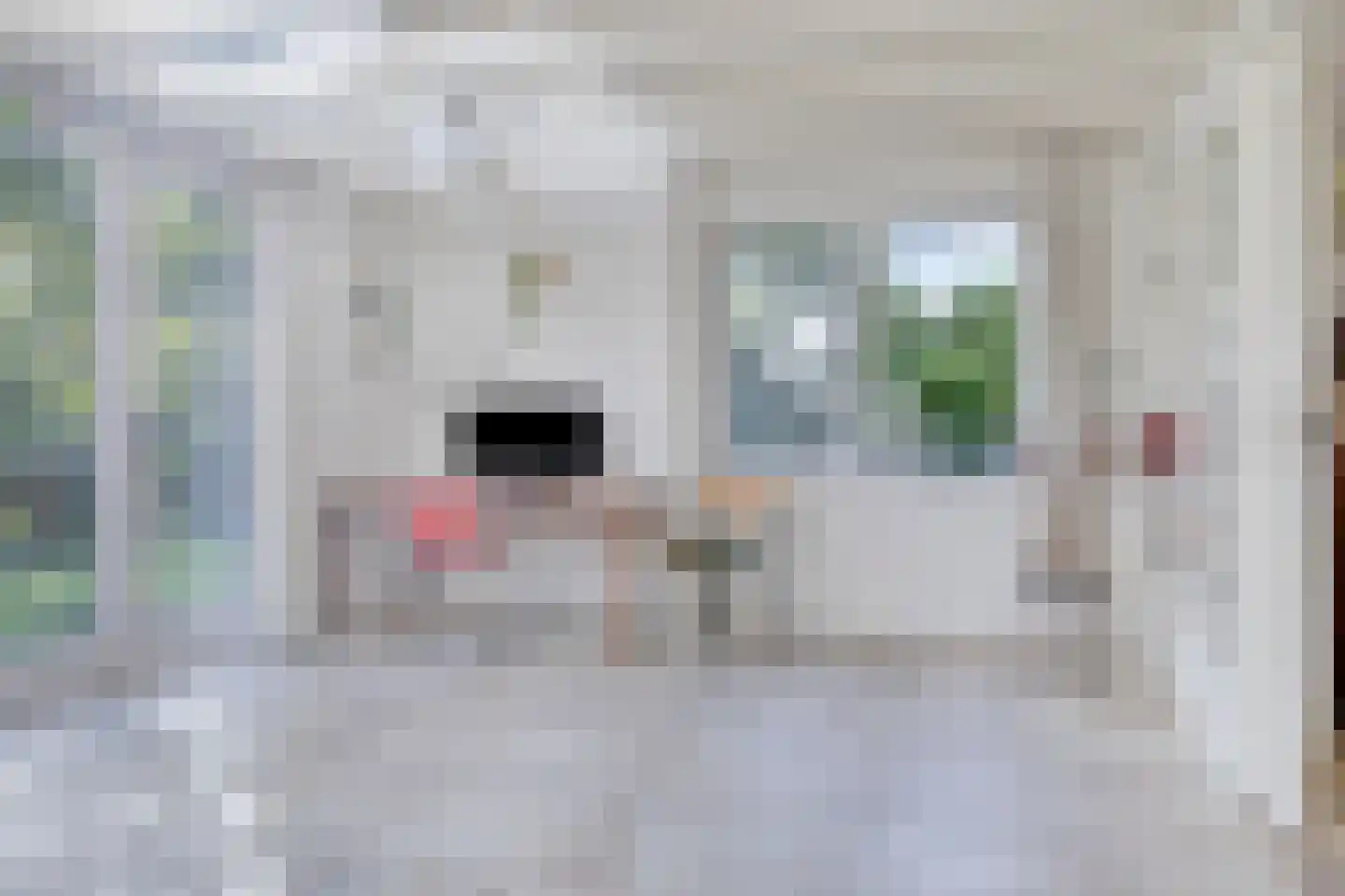 Groningerweg 14 Paterswolde thumbnail 20