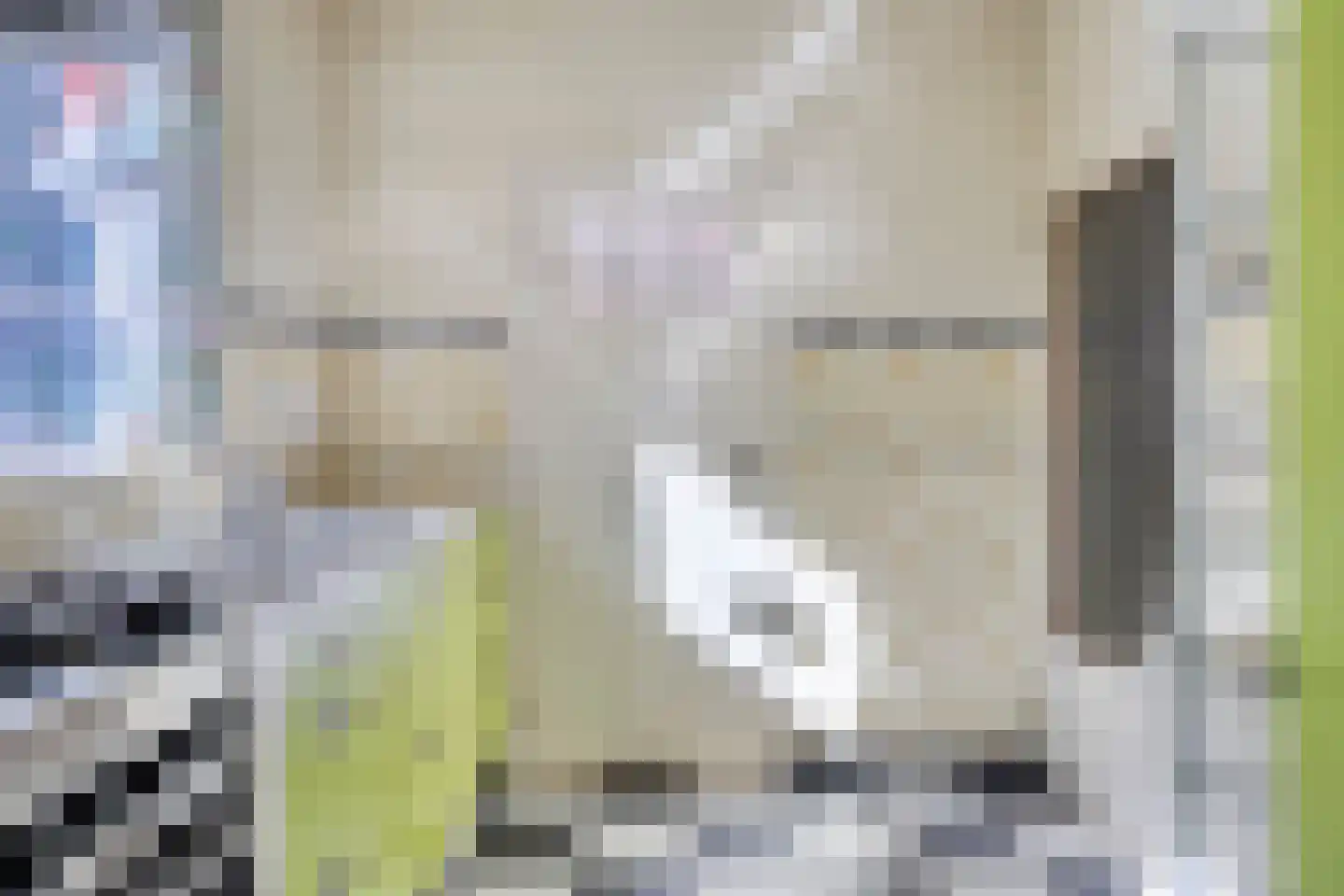 Groningerweg 14 Paterswolde thumbnail 22