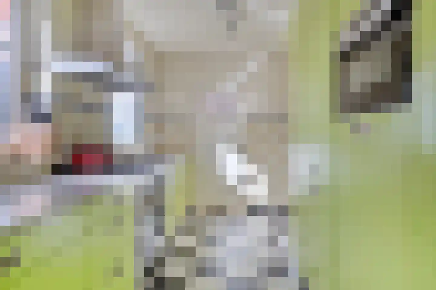 Groningerweg 14 Paterswolde thumbnail 23